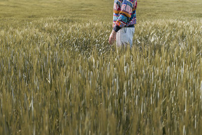Photo of half body of a caucasian man standing in a farmland full of green rye plants during spring