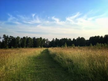 Scenic view of field against sky