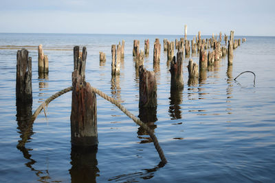 Wooden posts in sea against sky