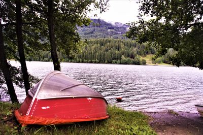 Boat on lake by trees in forest against sky