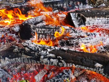 Close-up of fire on log