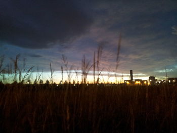 Scenic view of field against sky during sunset