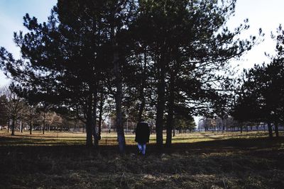 Rear view of man on field against sky