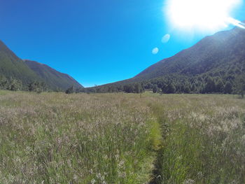 Scenic view of landscape against clear sky