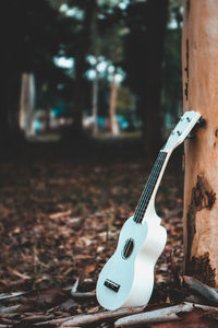 Guitar by tree in forest