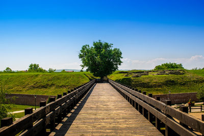 Narrow footbridge amidst landscape and trees against sky