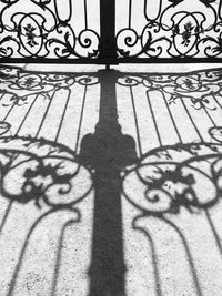Close-up of shadow on leaf