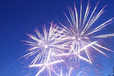 Low angle view of firework display at night