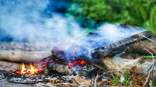 Bonfire on wooden log
