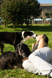 Side view of dog sitting on field