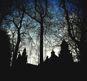 Low angle view of silhouette trees against sky