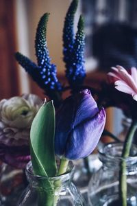 Close-up of purple flower