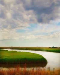 Scenic view of field against sky