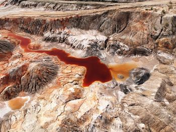 High angle view of orange on rock in water