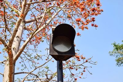 Low angle view of street light against sky