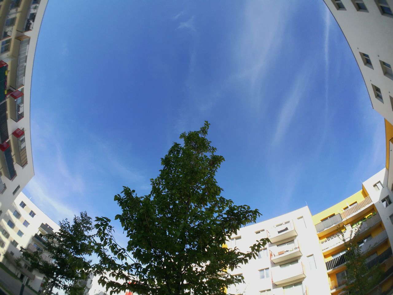 Roman Gosch©🇦🇹