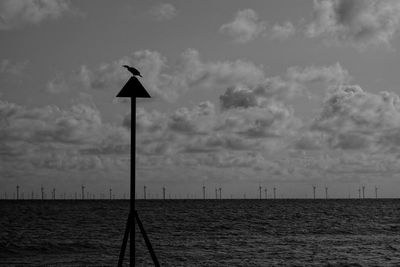 Bird perching on wooden post by sea against sky