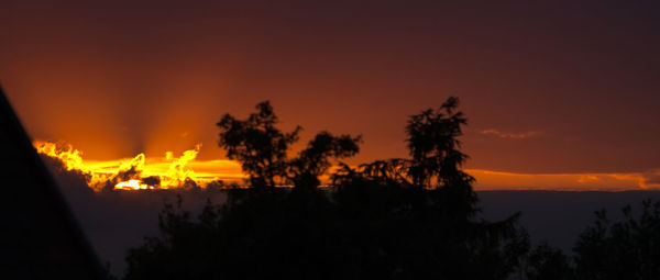 Silhouette trees against orange sky