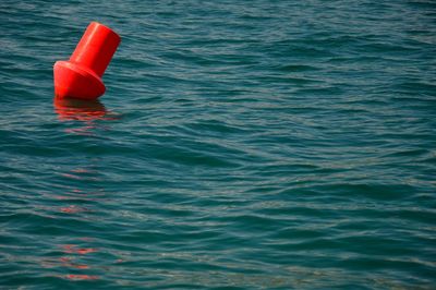 High angle view of red floating on sea