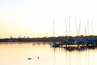 Sailboats in river at sunset