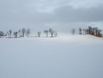 Snow covered land and trees against sky during winter