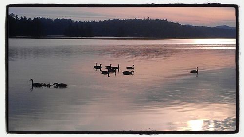 Scenic view of calm lake at sunset