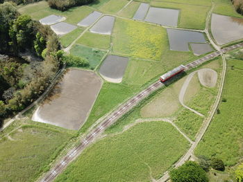 High angle view of agricultural field