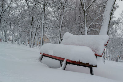 Snow covered trees on field during winter