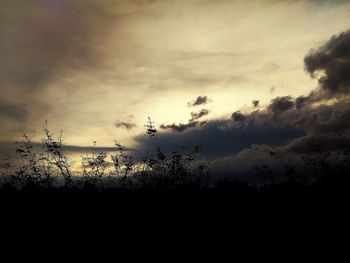 Scenic view of field against sky at sunset