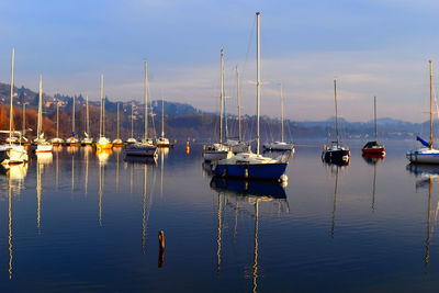 Boats moored at harbor