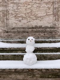 Close-up of stuffed toy on wood during winter