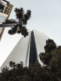 Low perspective of a building in the city of santurce puerto rico with trees around