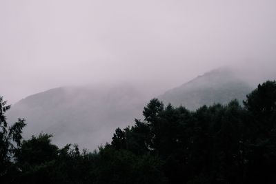 Silhouette trees by mountain against sky
