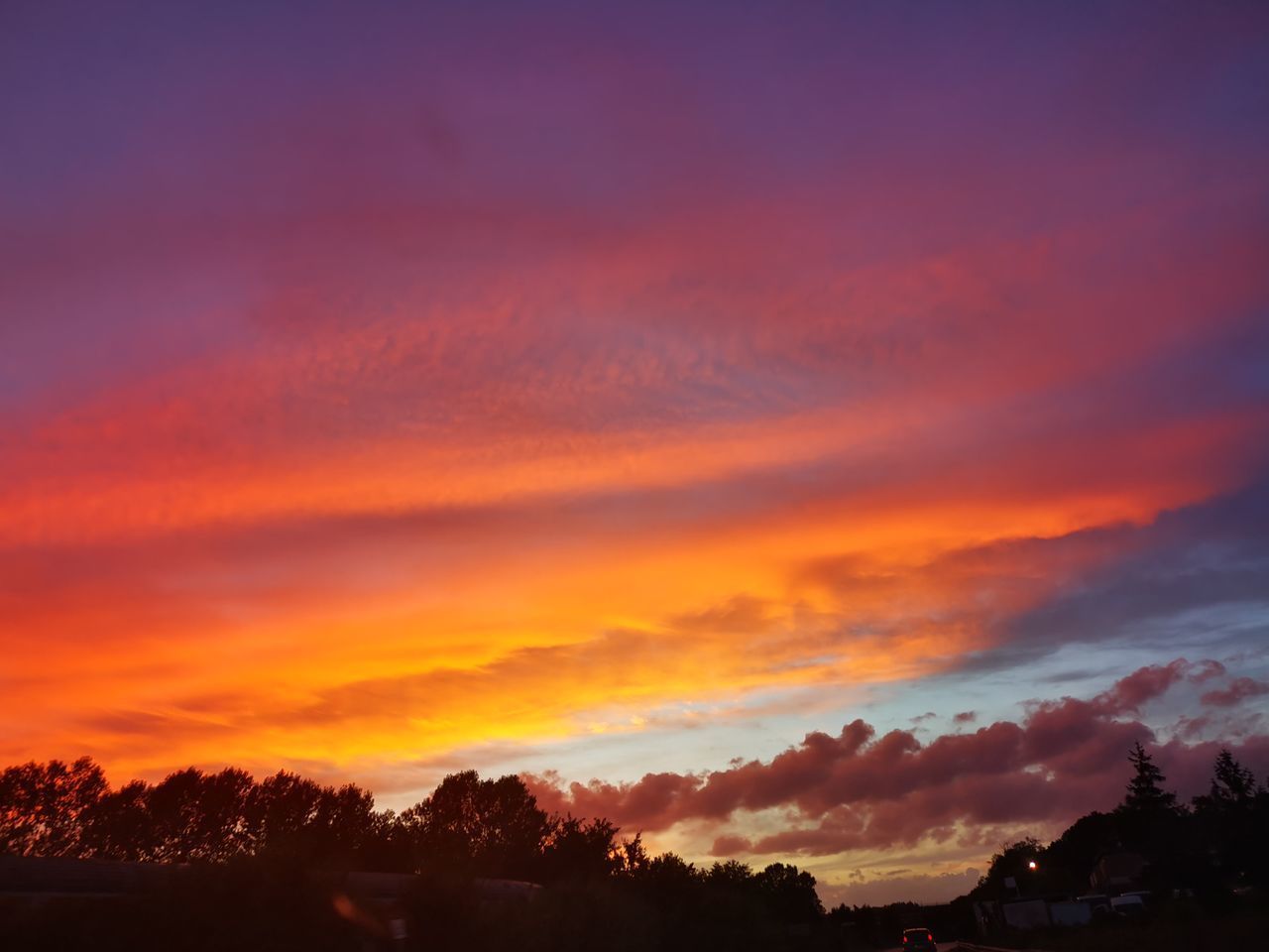 LOW ANGLE VIEW OF SILHOUETTE TREES AGAINST ROMANTIC SKY