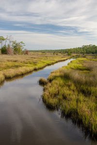 Scenic view of swamp on field against sky