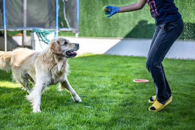 Low section of people with dog on lawn