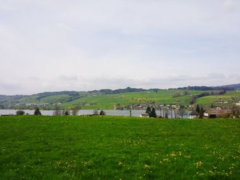 Scenic view of field against sky