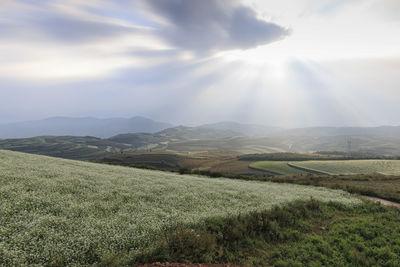 Sun shining over mountain