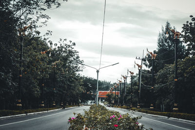 Street amidst trees and plants in city against sky