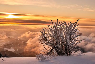 Scenic view of snow covered land against sky during sunset