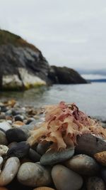 Close-up of stones on beach