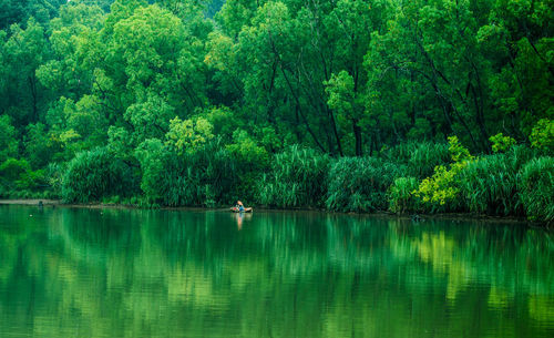 Scenic view of lake