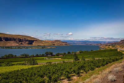 Scenic view of landscape against blue sky