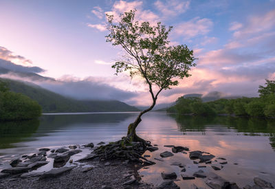 Scenic view of lake against sky during sunset