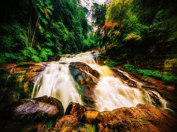 View of waterfall in forest