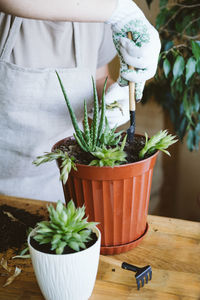 Midsection of woman standing by potted plant on table