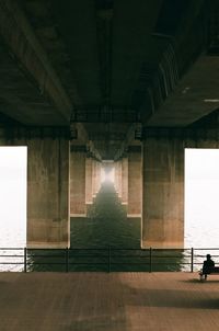 Rear view of person sitting on bench below bridge by lake