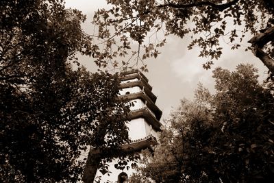 Low angle view of sculpture against trees