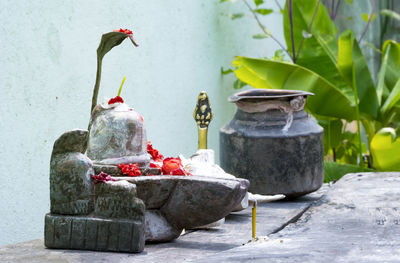 View of birds on concrete structure