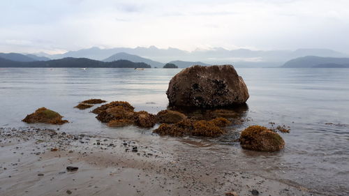 Rocks on sea shore against sky